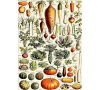 1000 Piece Puzzle Vintage Melons And Fruits Flower Plant Wall Art Posters For Adult Toys Decompression Game Qz558Yk 52x38CM