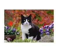 1000 Piece Puzzles，Black-and-white cat in the blooming garden，for Children and Adults, Assembly Puzzle, Fun Game（75x50cm）-AL29