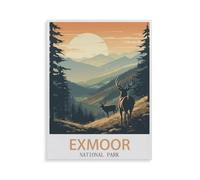 1000 Piece Puzzles，Exmoor National Park，for Children and Adults, Assembly Puzzle, Fun Game（75x50cm）-HE35