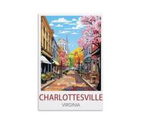 1000 Piece Puzzles for Adults，Charlottesville Virginia，Puzzles 1000 pieces puzzles for adult children classic family puzzle indoor 70x50cm