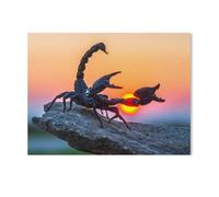 1000 Piece Puzzles for Adults，Scorpions, Insects & Small Animals, Animals in the Savannah & Desert，Jigsaw Puzzle 1000 Piece for Adults Kids - Educational Toys DIY Gift Fun Game（50x70cm）-T83