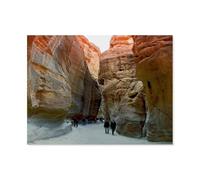 1000 Piece Puzzles,The Siq, entrance to the rock city of Petra,for Children and Adults, Assembly Puzzle, Fun Game(50x70cm)-AS78