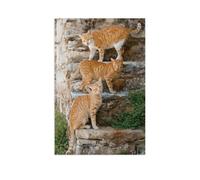 1000 Piece Puzzles，Three red tabby cats on a staircase，for Children and Adults, Assembly Puzzle, Fun Game（75x50cm）-AT87