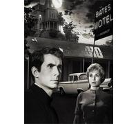 1000 Piece Retro Horror Film Psychos Poster Jigsaw Fun Game Toy Educational Game For Adult Xq318Zy 70x50CM