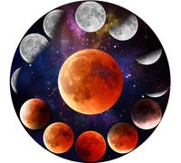 1000-Piece Round Jigsaw Puzzle with Letters on Back Planet Animals Cities Illustration Art Patterns 68.6cm Diameter Circle Puzzle for Stress Relief Family Fun Wall Decor