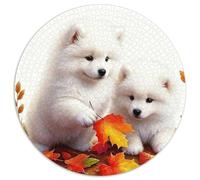 1000 Piece Samoyed Puppy Jigsaw Puzzle for Adults - Family Fun, Family Happy Game, Autumn Leaves Puzzles, Decoration Birthday Gifts 1000pcs (67.5x67.5cm)