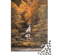 1000 Piece Scottish Waterfall Creative Square Jigsaw Puzzles for Adults & Paper Puzzles Stress Relief Puzzle Games And Unique 38x26cm/1000pcs