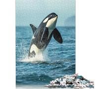 1000 Piece Sea Orca Whale Killer Square Puzzles for Adults & Wooden Puzzles Educational Game 1000pcs (75x50cm)