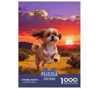 1000 Piece Shih Tzu Jigsaw Puzzle for Adults & Kids - Family Fun, Family Happy Game, Sunset Grassland Puzzle, Home Decoration Unique Gift 70x50cm/1000pcs