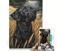 1000 Piece Teenager Puzzles Black Lab in Wheat Field, Educational Games, Train Your Brain And Hands, Artists Collection, Fine Art 38x26cm