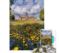 1000 Piece Teenager Puzzles Dundee Morgan Academy Fun at Home Activities, Pattern Assembly Relax Games for And from 14 Years And over (50X75CM)