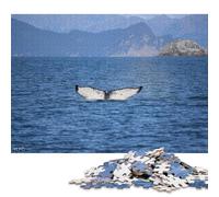 1000 Piece Whale Tail Alaska Phil D Square Puzzle for Adults, Wooden Puzzles Puzzle Hands-on Game 1000pcs (75x50cm)