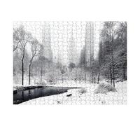1000 Piece Winter Central Park Wooden Jigsaw Puzzle, Challenging Relax Hobby Puzzle for Adults