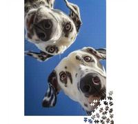 1000 Piece Wooden Jigsaw Puzzle for Adults, Two Dalmatians looking down