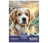 1000 PieceIrish Setter Jigsaws Pieces The Challenge Is Difficult Puzzles for Adults with Home Décor Puzzle Educational Gam Adults 12 Years of Age And OlderIrish Setter