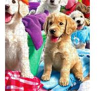 1000 Pieces Animal Dog Design Relaxing Game Laundry Scene With Letters On The Back Detailed For Adults Hobbies Decor Living Room Activities For Free | For