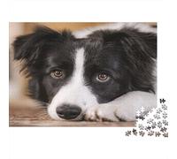 1000 Pieces Border Collie Theme Jigsaw Puzzle for Adults Thick Paper Mental Training Puzzle Focus Enhancement Home Relaxation 38x26cm/1000pcs
