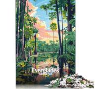 1000 Pieces Everglades National Park Illustration Creative Square Jigsaw Puzzles for Adults And Wooden Puzzles Challenging Game 1000pcs (75x50cm)