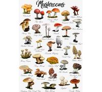 1000 Pieces - For Adult Stress Relief Toys - Retro Mushrooms Illustrations - Art Jigsaw - Memory Games For The Elderly - Wall Decoration - Pk24Zw