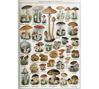 1000 Pieces - For Adult Stress Relief Toys - Retro Mushrooms Illustrations - Art Jigsaw - Memory Games For The Elderly - Wall Decoration - Pk22Zw