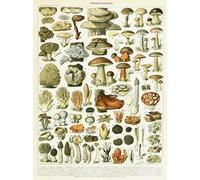 1000 Pieces - For Adult Stress Relief Toys - Retro Mushrooms Illustrations - Art Jigsaw - Memory Games For The Elderly - Wall Decoration - Pk26Zw