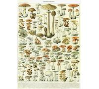 1000 Pieces - For Adult Stress Relief Toys - Retro Mushrooms Illustrations - Art Jigsaw - Memory Games For The Elderly - Wall Decoration - Pk28Zw