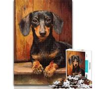 1000 Pieces for Adults Animal Dachshund Jigsaws 1000 Pieces for Teenagers,Toys Educational Games Stress Relieving Artists Collection, Fine Art 50x75cm