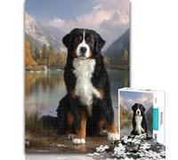 1000 Pieces for Teenagers Bernese Mountain Dog Puzzles 1000 Pieces for Adults,for Is Ideal As A Gift for The Whole Family for And 14 Years Old 75x50cm