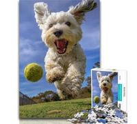 1000 Pieces for Teenagers Yorkshire Terrier Playing Tennis 1000 Pieces Jigsaw Puzzles For Teens And Adults,with Fully Interlocking Randomly Shaped Pieces for And 14 Years Old 50x75cm