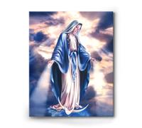 1000 Pieces Jigsaw Puzzle for Adults and Teens Elegant Virgin Mary Family and Inspiring Catholic Religious Premium Quality Virgin Mary is a Spiritual Gift of Christian Faith