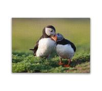 1000 Pieces Jigsaw Puzzle for Adults and Teens Puffin Couple Colorful Home Decoration New Upgraded Gifts