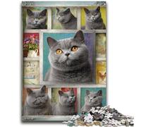 1000 Pieces Jigsaw Puzzle for Adults& Teens British Shorthair Cat Collage Learning Educational Toy for Is Ideal As A Gift for The Whole Family 26x38cm