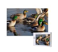 1000 Pieces Jigsaw Puzzle with Storage Box, Mallard Ducks Printed Wooden Puzzle 75x50 CM for Adults Kids Family Fun Decorative Game