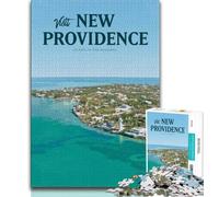 1000 Pieces Jigsaw Puzzles for Adults And Teens Visit New Providence,Learning Educational Toys Family Games Educational Game for Birthday,Chrismas (38x26cm)