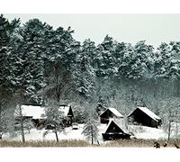 1000 Pieces Jigsaw Puzzles for Adults Difficult Hard Jigsaw Puzzles for Women Men - Lodges trees mighty 75x50cm