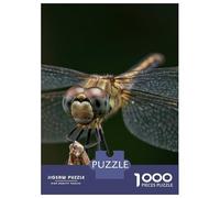 1000 Pieces Jigsaw Puzzles for Adults Dragonfly Close-Up on Twig Puzzles for Adults Family Games Precision Cutting Unique Gifts for Birthday And Christmas 52x38cm/1000pcs