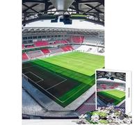 1000 Pieces Jigsaw Puzzles for Adults Freiburg Sc Stadion Relaxing Games Home Art Decor DIY Toys Artists Collection, Fine Art (50X75cm)