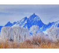 1000 Pieces Jigsaw Puzzles for Adults - Grand teton national park wyoming 75x50cm