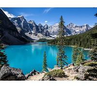 1000 Pieces Jigsaw Puzzles for Adults Jigsaw Puzzles for Adults Challenging Game - Mountains lake trees 75x50cm