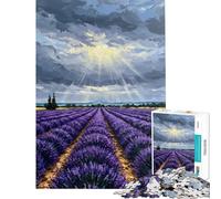1000 Pieces Jigsaw Puzzles for Adults Lavender Field Under Dramatic Sky Painting Jigsaw for Adults Hands-on Game Analysis And Logic Difficult And Challenge (Size 50x75cm)