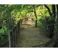 1000 Pieces Jigsaw Puzzles for Adults - Park trees fence 75x50cm