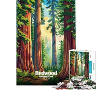 1000 Pieces Jigsaw Puzzles for Adults Redwood National Park Illustration Family Game for Educational Game Challenge Toy Gifts for Women Men Birthday Present (size 38x52cm)
