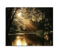 1000 Pieces Jigsaw Puzzles for Adults Teens English Woodland Landscape for Players Who Like to Challenge The Difficult and Unlock More Complex Patterns in Hd