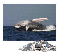 1000 Pieces Jigsaw Puzzles for Adults Whales Square Paper Puzzles Unique Piece Puzzle Educational Fun Games Toys 38x26cm/1000pcs