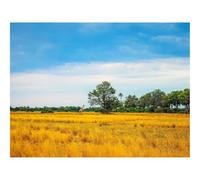 1000 Pieces Jigsaw Puzzles for Adults With Letters On Back-Africa,giraffe,grass 70x50cm