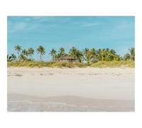 1000 Pieces Jigsaw Puzzles for Adults With Letters On Back-Beach,ocean,palm,trees 70x50cm