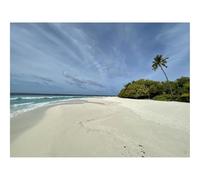 1000 Pieces Jigsaw Puzzles for Adults With Letters On Back-Beach,Sand,Tropics,Nature 70x50cm