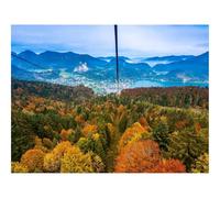 1000 Pieces Jigsaw Puzzles for Adults With Letters On Back-Cable,car,view,from,above,trees 70x50cm