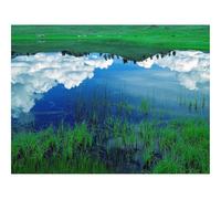 1000 Pieces Jigsaw Puzzles for Adults With Letters On Back-Clouds,sky,field 70x50cm