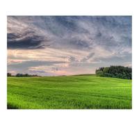 1000 Pieces Jigsaw Puzzles for Adults With Letters On Back-Clouds,Sky,Volume,Cloudy,Wood,Field,Breadth 70x50cm